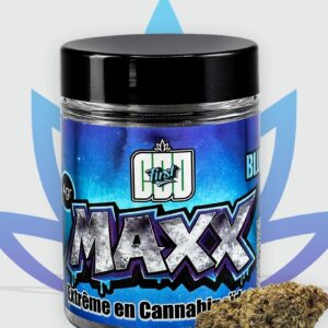 Pot Fleur MAXX – Blueberry
