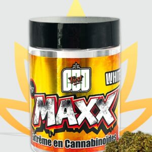 Pot Fleur MAXX – White Widow
