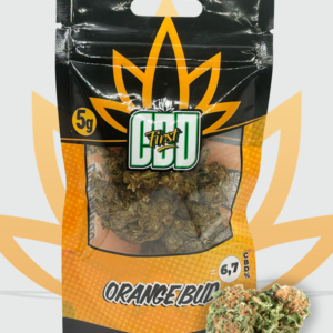 Orange Bud