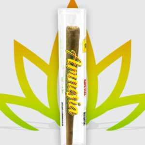 Pré-roll Amnésia