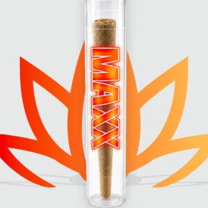 Pré-roll MAXX White Widow