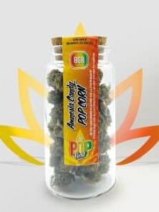 Pop First Amnesia Candy