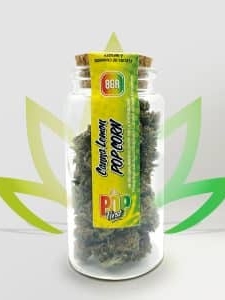 Pop First Canna Lemon