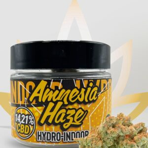 Pot Amnésia Haze Indoor Hydro