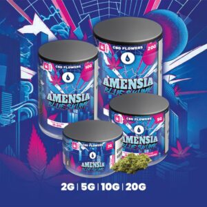Amensia Blue Skunk - 19-21% - Glasshouse