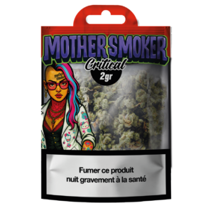 MOTHER SMOKER - Critical