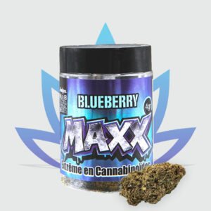 Pot Fleur MAXX – Blueberry 4 g