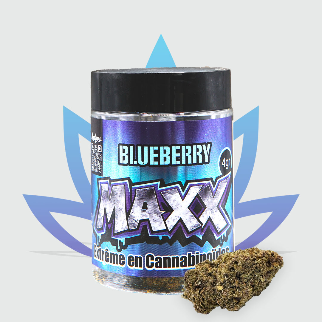 Pot Fleur MAXX – Blueberry 4 g