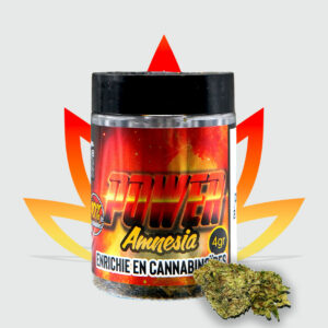 Power Amnesia CBD – 4 g